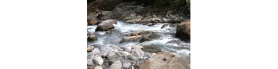 விஷால்பத்ரி